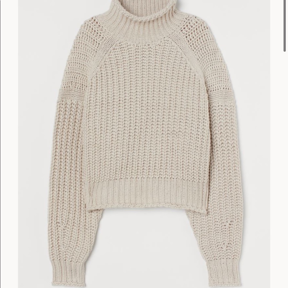 H&M Turtleneck Sweater.